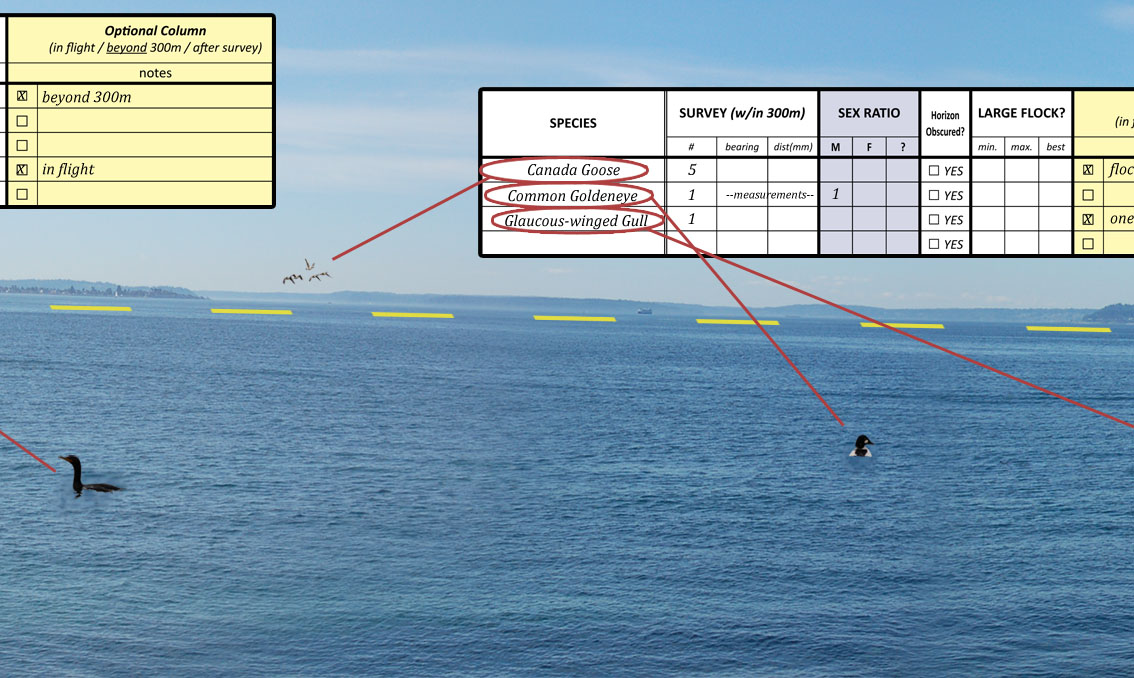 Survey Area 4-5