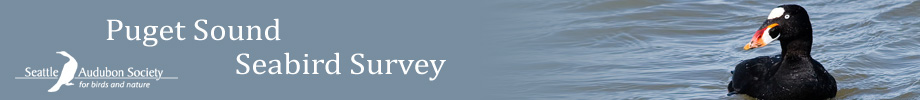 PSSS Banner